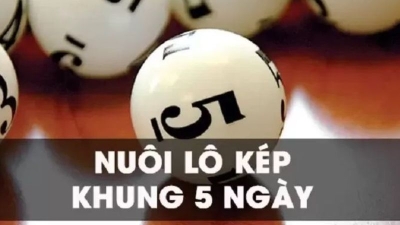 Lô kép nuôi khung 5 ngày - Chiến lược để tăng tỷ lệ thắng